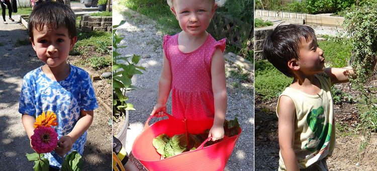 CDL kids at garden day