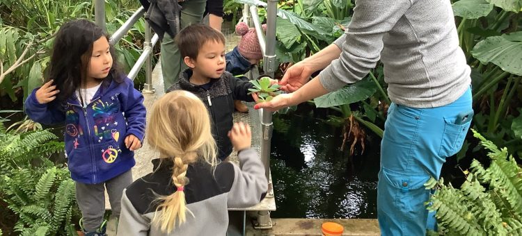 Children looking at plants